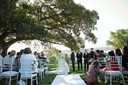 White Tiffany Chairs