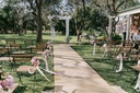 Timber Folding Chair