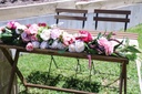 Timber Country Signing Table