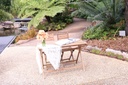 Timber Country Signing Table