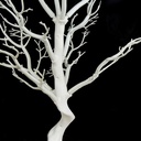Manzanita Wishing Tree Centerpiece - White