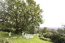 BG-76.webp