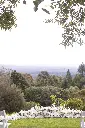 BG-70.webp