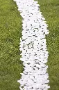 BG-67.webp