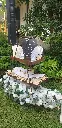 20240120_162116.webp