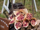 Dried Floral Confetti Cones