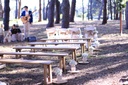 Rustic Brown Wooden Benches (Full Size)
