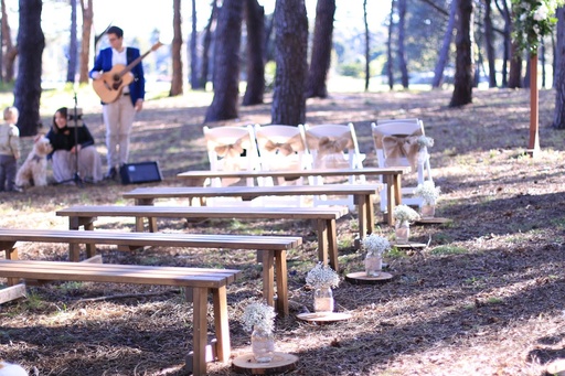 [Chairs] Rustic Brown Wooden Benches (Full Size)