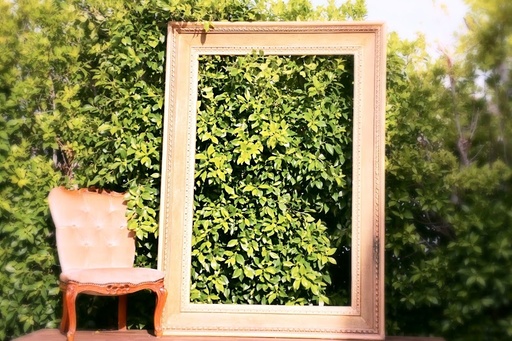 [Frames & Mirrors] Large Vintage Gold Ornate Frame