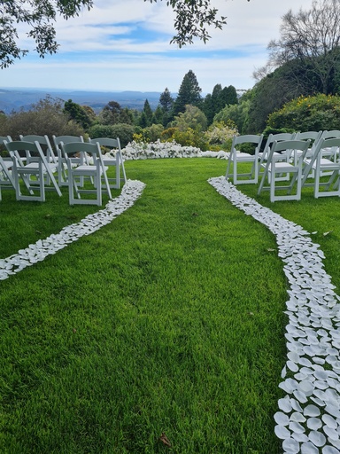 Petal Runner For Aisle - No Mess